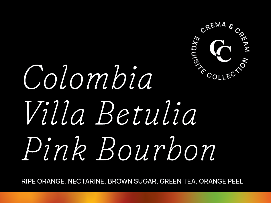 Colombia Villa Betulia Pink Bourbon