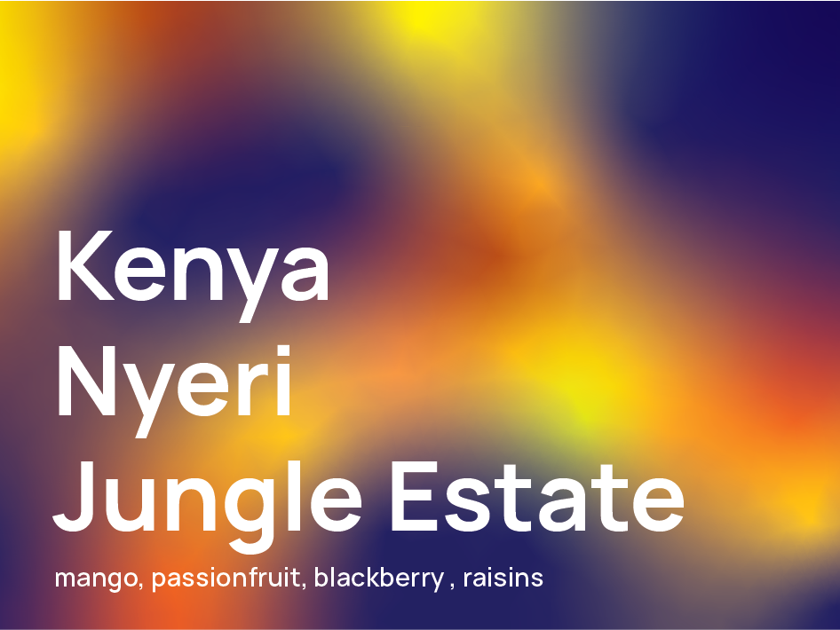 Kenya Nyeri Jungle Estate