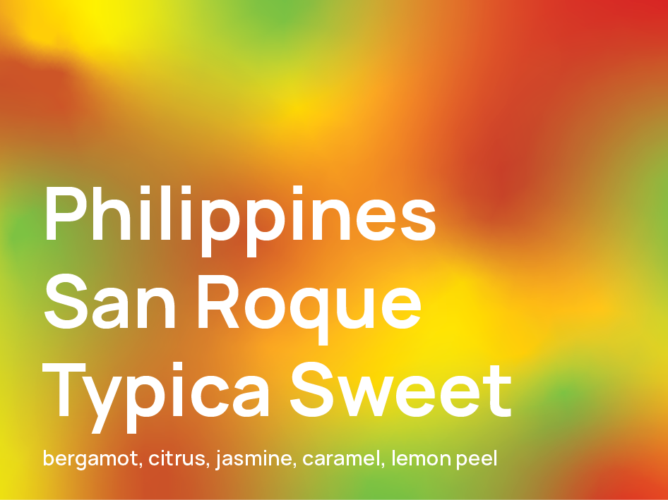 Philippine San Roque Typica Sweet
