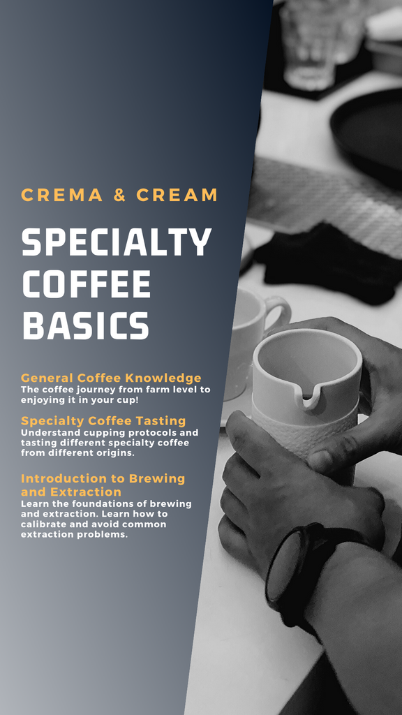 Specialty Coffee Basics